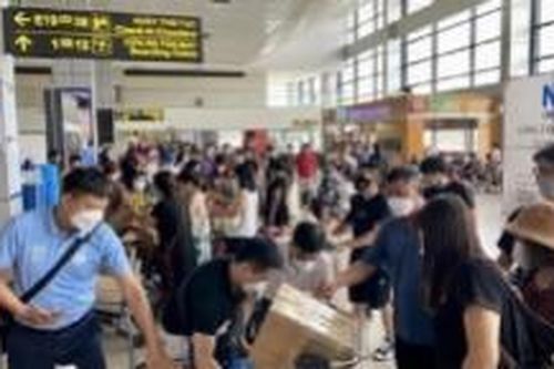 Các hãng hàng không dừng kiểm tra thẻ hành lý