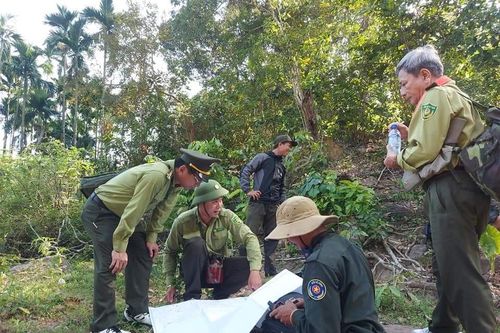 Quảng Ngãi: Hàng loạt cán bộ kiểm lâm và lực lượng chuyên trách bảo vệ rừng xin nghỉ việc