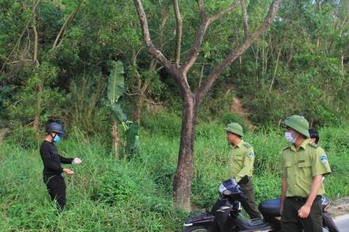 Khai thác hiệu quả và bảo tồn bán đảo Sơn Trà