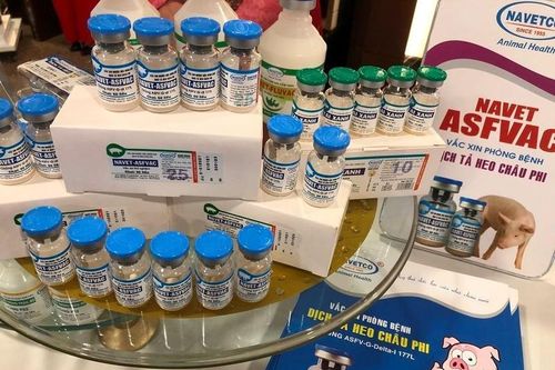 Vụ heo chết hàng loạt sau tiêm vắc xin: NAVETCO hỗ trợ thế nào?
