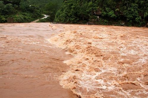 Bình Phước: Một người mất tích do bị nước cuốn trôi