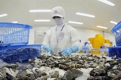 Vì sao xuất khẩu tôm sang Mỹ và Trung Quốc giảm mạnh trong tháng 7