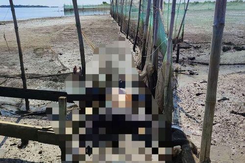 Đi bắt hàu, hoảng hồn phát hiện 1 thi thể đang phân hủy