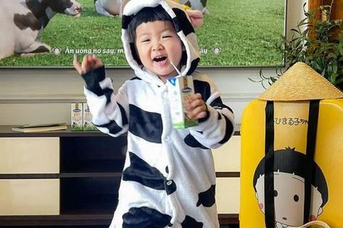 Các bé đòi đi nghỉ dưỡng với bò, bố mẹ đau đầu 'bó tay'