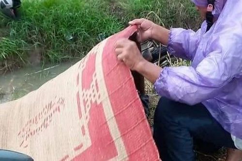 Hải Phòng: Sét đánh trúng 2 người đi xe máy khiến 1 người tử vong