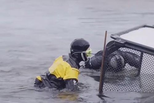 Bảo vệ cá hồi bằng AI