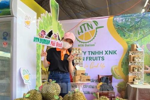 Du khách đổ về 'thủ phủ sầu riêng' xe nối đuôi dài cả cây số, khách thoải mái ăn tại vườn