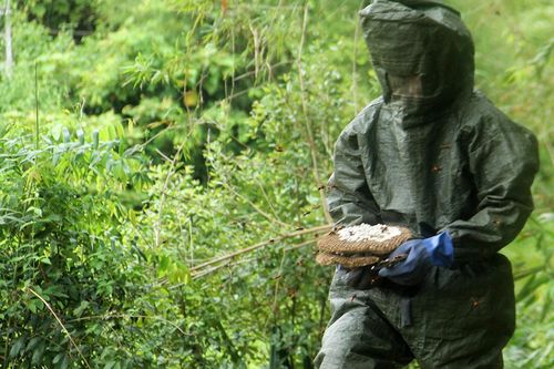 Toàn thân bịt kín, xông vào chốn 'tử thần' lấy nhộng
