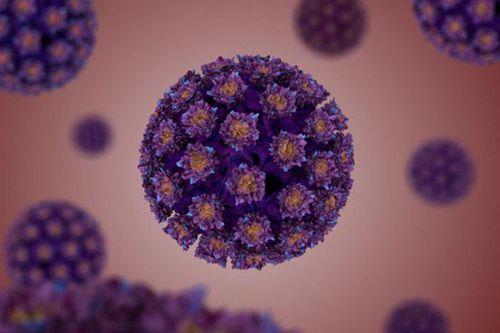 Ấn Độ phát triển vaccine ngừa ung thư cổ tử cung