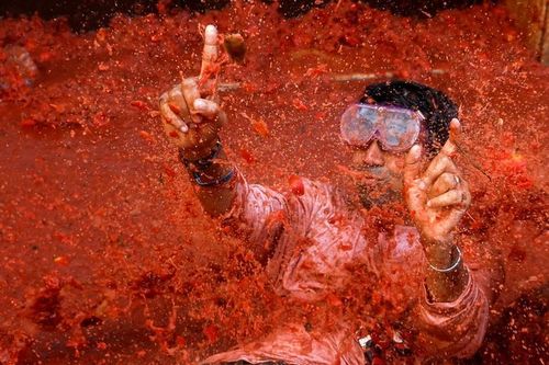 Lễ hội ném cà chua nhuộm đỏ thị trấn ở Tây Ban Nha