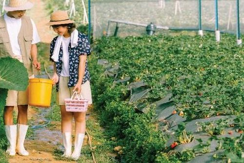 Kể chuyện tình yêu bằng hình ảnh