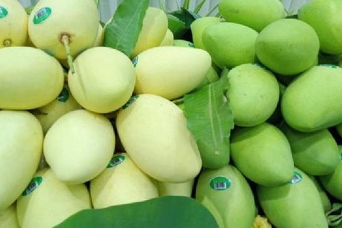 Nhu cầu nhập khẩu xoài của Trung Quốc tăng cao, doanh nghiệp Việt không nên bỏ lỡ