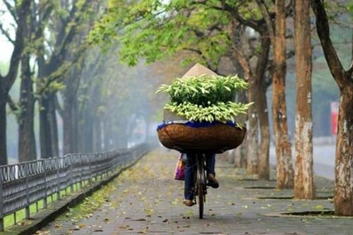 Những kẻ vọng hoài