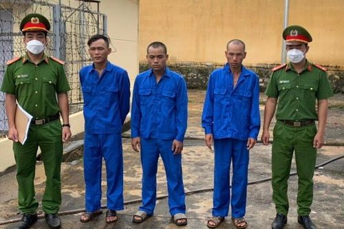 Đắk Nông: Triệt phá nhóm đối tượng chuyên trộm cắp tài sản và tiêu thụ tài sản do người khác phạm tội mà có