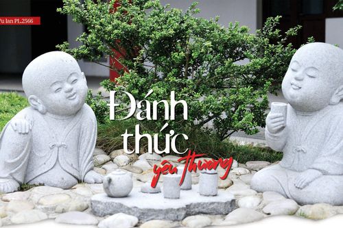 Đánh thức yêu thương