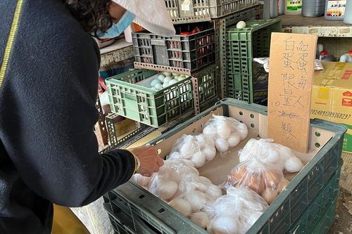 Giá trứng tăng vọt ở Trung Quốc vì nắng nóng thiêu đốt