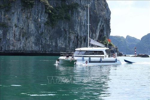 Hai khu du lịch Cát Bà và Đồ Sơn đón hàng chục nghìn lượt khách