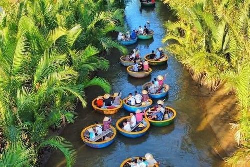 Lặng ngắm khu 'rừng cổ tích' giữa lòng thành phố di sản Hội An
