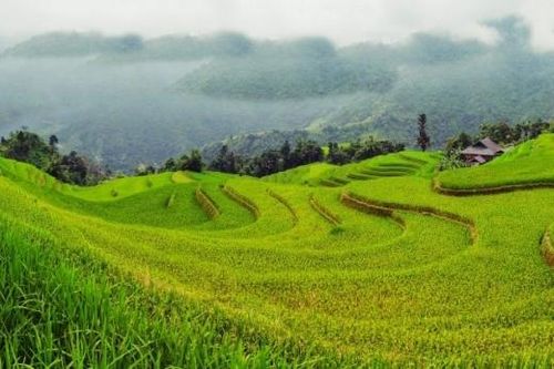 Hà Giang: Vẻ đẹp 3 thôn Nà Thác, Khuổi My, Lùng Vài