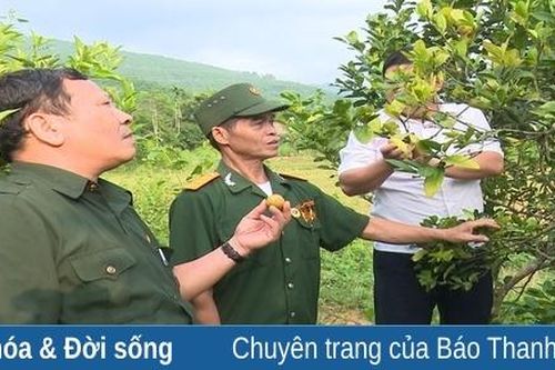 Cựu chiến binh huyện Lang Chánh giúp nhau giảm nghèo, làm kinh tế giỏi
