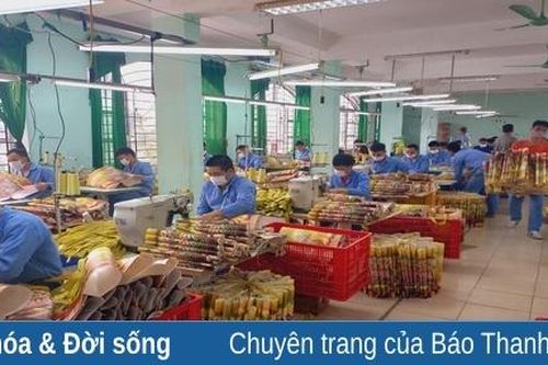 Cơ sở Cai nghiện ma túy số 1 Thanh Hóa đ ào tạo nghề góp phần nâng cao hiệu quả điều trị