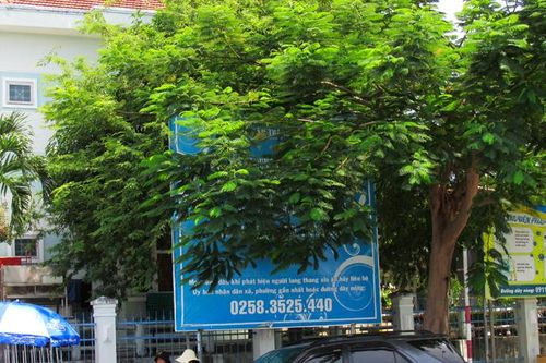 Pa nô tuyên truyền bị tán cây che phủ