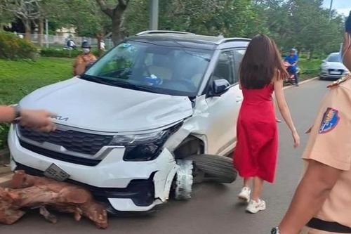 Phạt 70 triệu đồng nữ tài xế bỏ chạy sau khi gây tai nạn