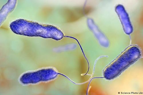 Argentina xác nhận trường hợp tử vong thứ năm do nhiễm vi khuẩn Legionella