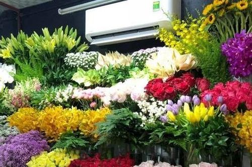 Lâm Đồng: Tăng cường nhập khẩu giống hoa có bản quyền