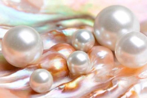 Khám phá những sự thật ít biết về lịch sử ngọc trai