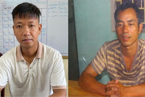 Bắt 2 đối tượng lái xe tải đi trộm hàng loạt cây cảnh