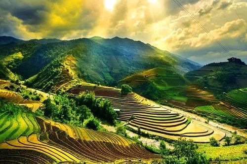 Lượng tìm kiếm quốc tế về du lịch Việt Nam tăng mạnh