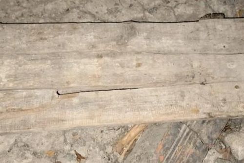 Cha già 81 tuổi tử vong khi cầm gậy rượt đánh con trai