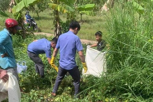 Bình Thuận: Qua đường sắt, người đàn ông bị tàu hỏa tông tử vong