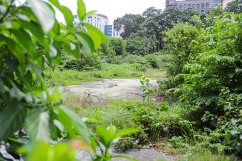 Chính phủ yêu cầu xử lý nghiêm tình trạng lãng phí đất