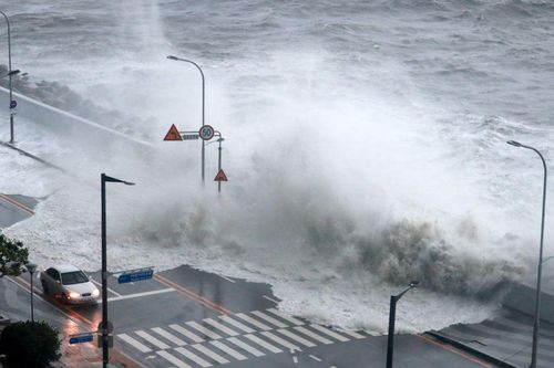 Siêu bão Hinnamnor càn quét miền nam Hàn Quốc