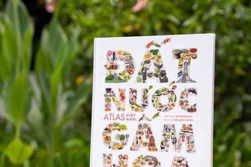 'Đất nước gấm hoa': Hành trình khám phá 63 tỉnh, thành của Việt Nam
