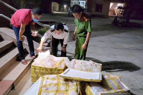 Xe khách chở 400kg nội tạng động vật không rõ nguồn gốc