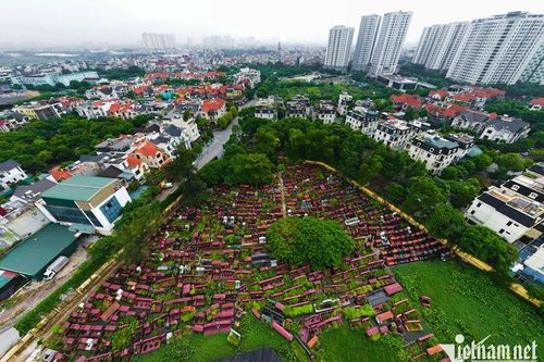 Nghịch lý phường đông dân nhất Hà Nội: Bốc thăm suất học, đất trường 'treo' ở nghĩa trang