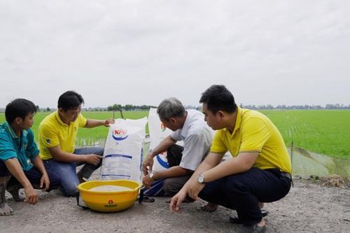 Nhà máy Đạm Cà Mau vận hành 115% công suất sau bảo dưỡng