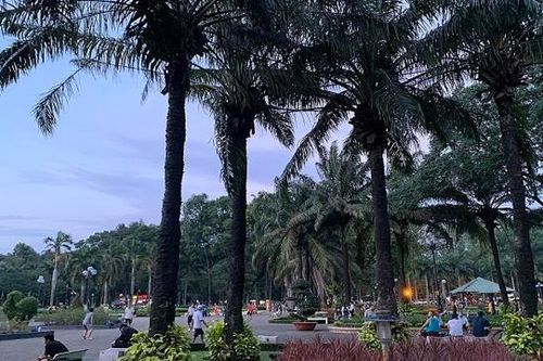 Đề xuất lấy đất công viên Gia Định làm bãi đậu xe buýt và phản ứng trái chiều từ người dân