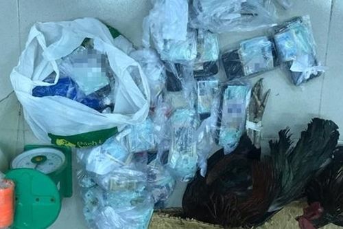 Bắt trường gà di động ven biển, thu giữ hàng trăm triệu đồng