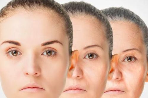 Tìm ra chất dinh dưỡng có thể chống đỡ lại sự lão hóa