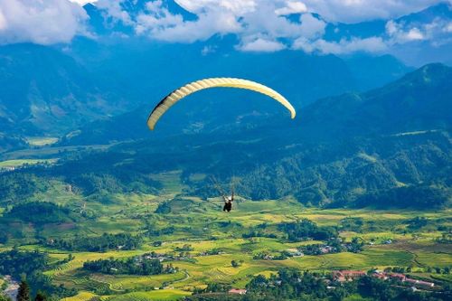 Bay dù lượn ngắm mùa lúa chín