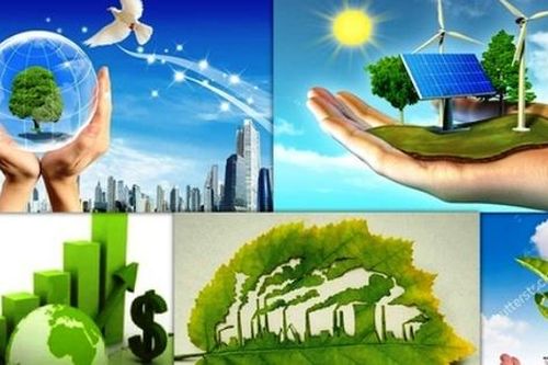 Quy chế hoạt động của Ban Chỉ đạo quốc gia về tăng trưởng xanh
