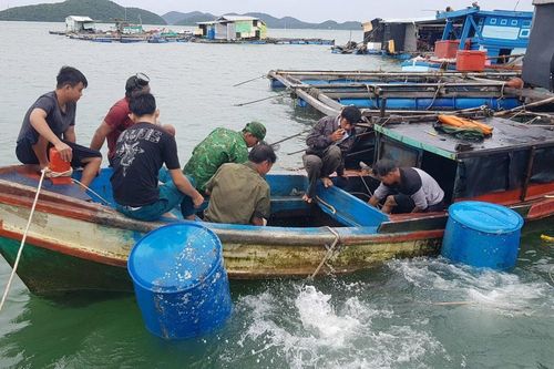 Tàu cá của ngư dân Kiên Giang bị dông lốc đánh chìm, một người mất tích