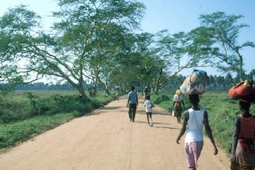 Mozambique đầu tư 828 triệu USD cho nông nghiệp