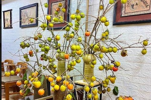 Mê mẩn những mẫu bình quả 'đẹp - độc - lạ'