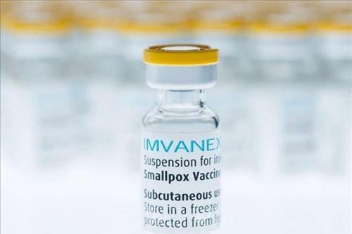 EU đặt mua thêm hơn 170.000 liều vaccine phòng bệnh đậu mùa khỉ