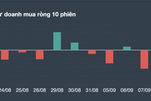 Tự doanh lẫn khối ngoại cũng 'tháo chạy' trong phiên hoảng loạn bốc hơi 34 điểm